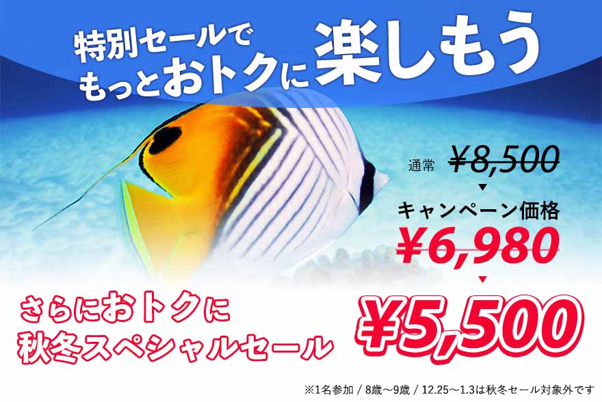 特別セールでお得にダイビングを楽しもう